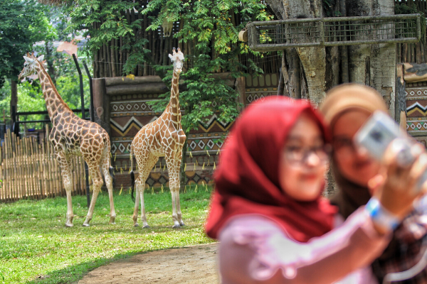 Bandung Zoo