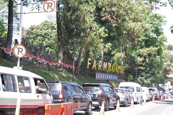 Wisatawan Serbu Lembang, Jalan Macet.. Volume Kendaraan Naik 40%