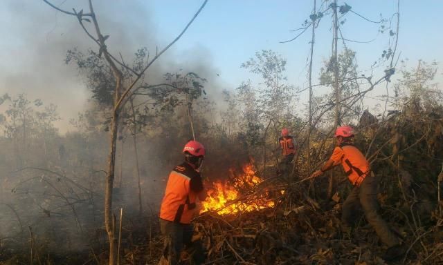 Kawasan Hutan Gunung Tangkuban Parahu Terbakar, Pemicunya Gas Alam