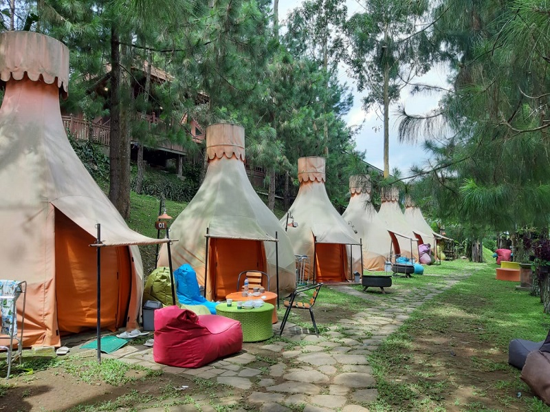 Wisata The Lodge Maribaya, Sensasi Camping di Tengah Hutan Pinus