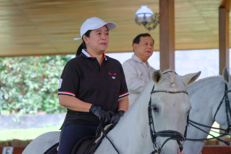 Prabowo dan Puan Sepakat Bangun Komunikasi Politik Jelang 2024