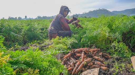 3.718 Desa Aktif Berkomitmen untuk Maju! Ini Desa BRILian Terbaik Yang Siap Bersaing di Nugraha Karya 2023