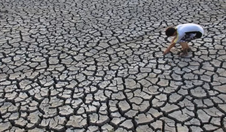 Ratusan Hektare Sawah di Kabupaten Bandung Diambang Gagal Panen